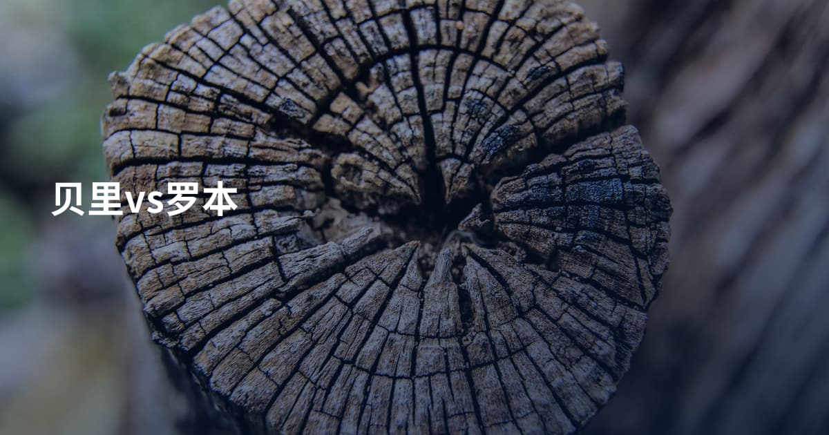贝里vs罗本