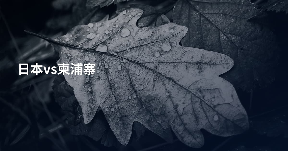 日本vs柬浦寨