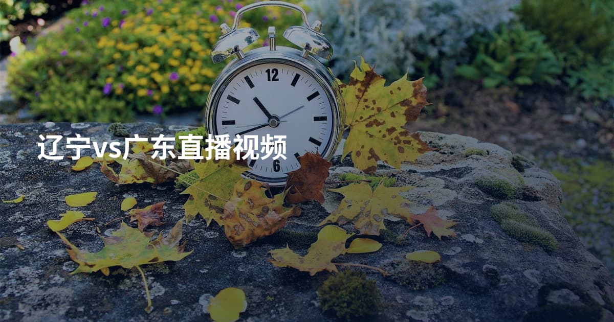 辽宁vs广东直播视频