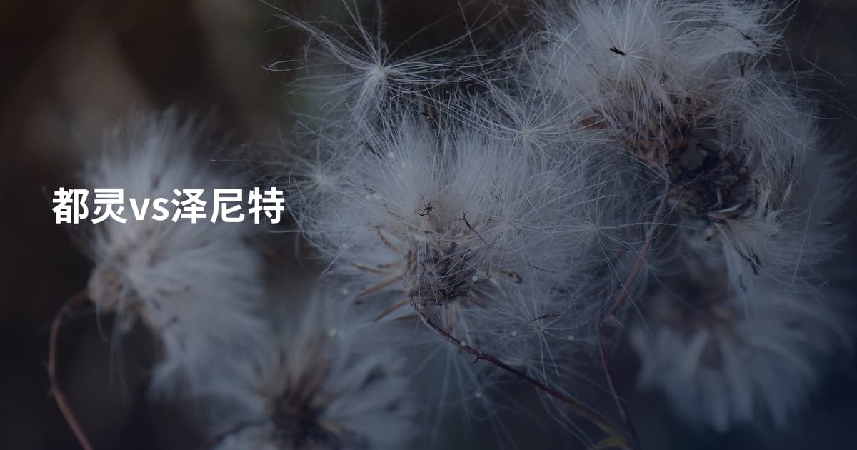 都灵vs泽尼特