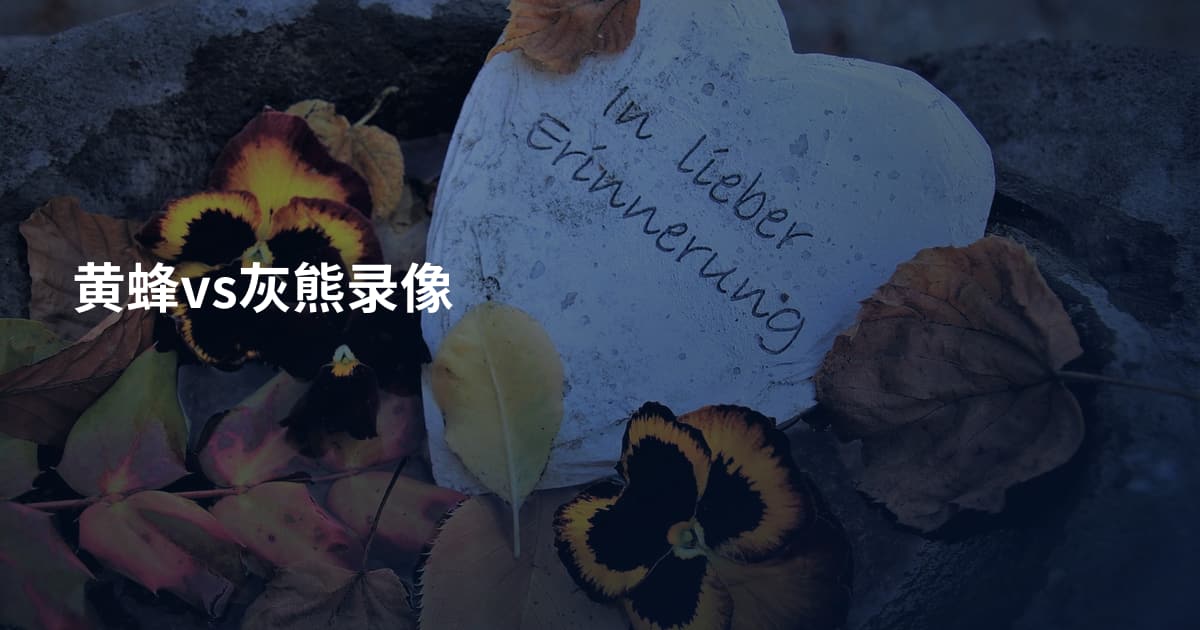 黄蜂vs灰熊录像