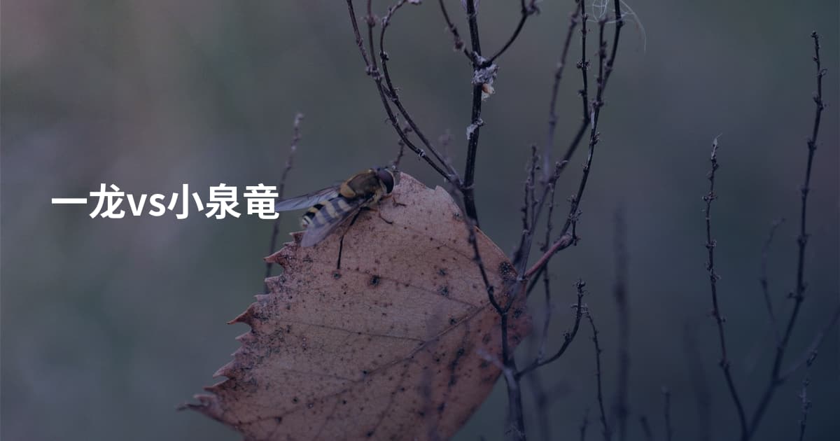 一龙vs小泉竜