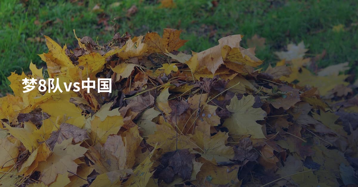 梦8队vs中国