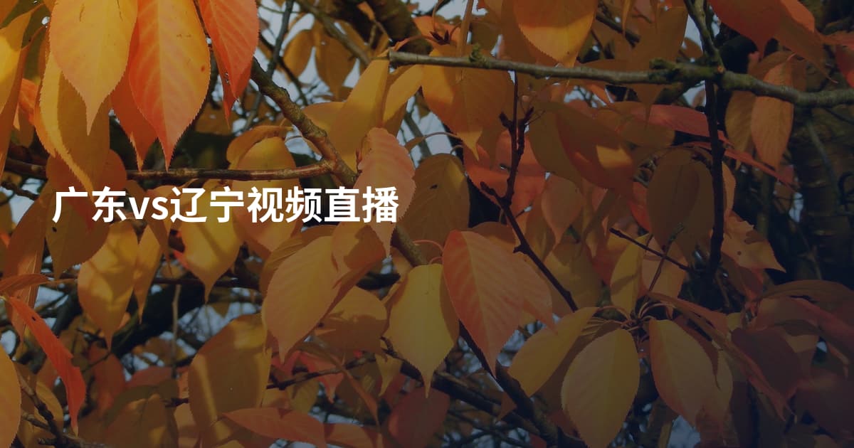 广东vs辽宁视频直播
