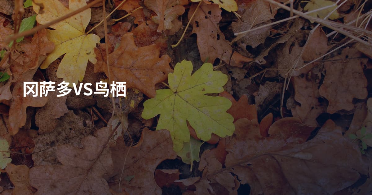 冈萨多VS鸟栖