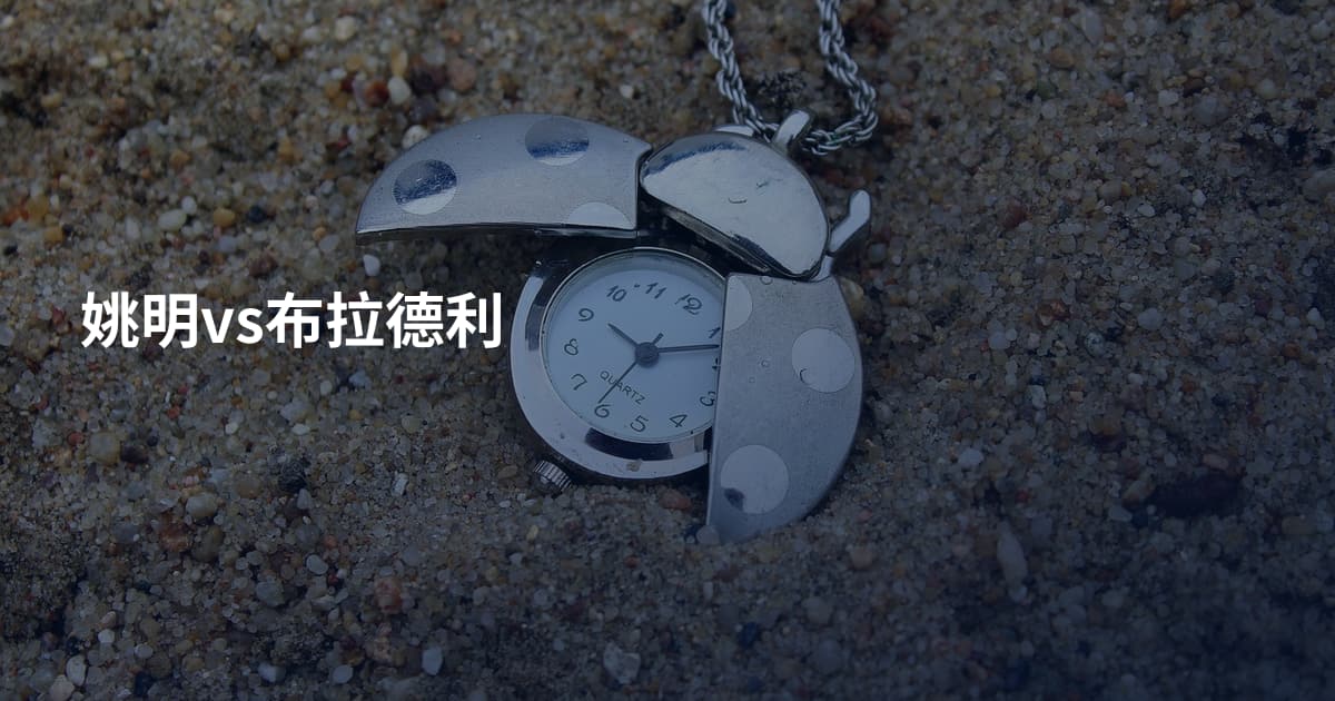 姚明vs布拉德利