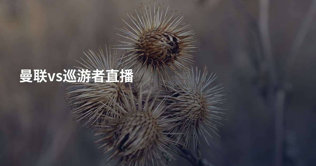 曼联vs巡游者直播