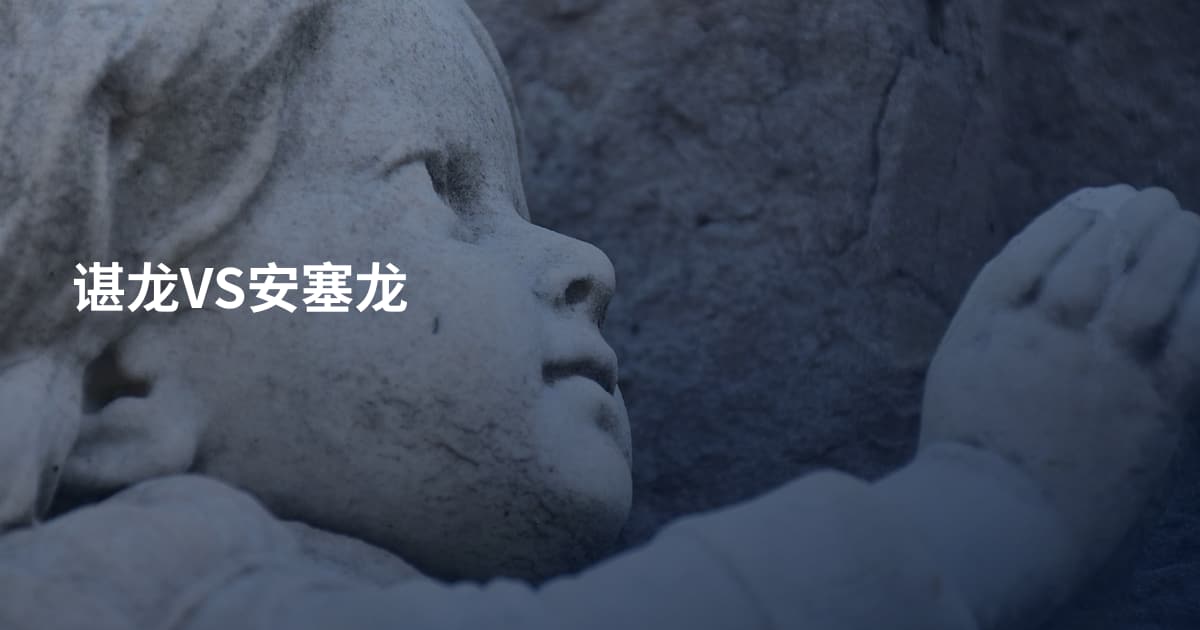 谌龙VS安塞龙
