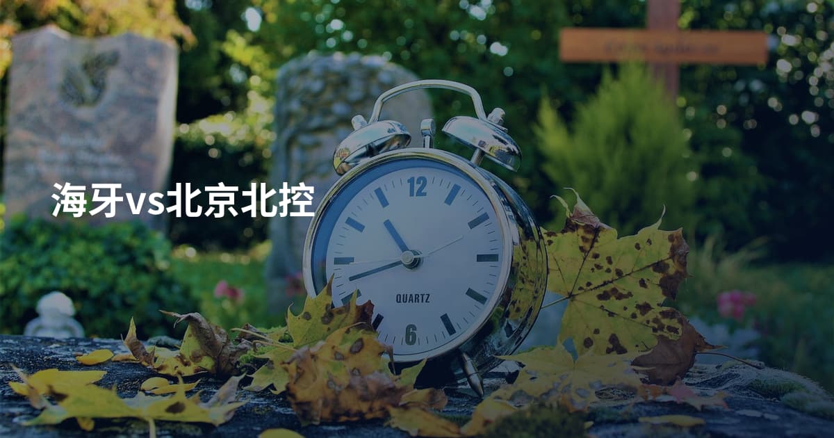 海牙vs北京北控
