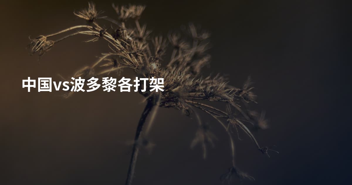 中国vs波多黎各打架