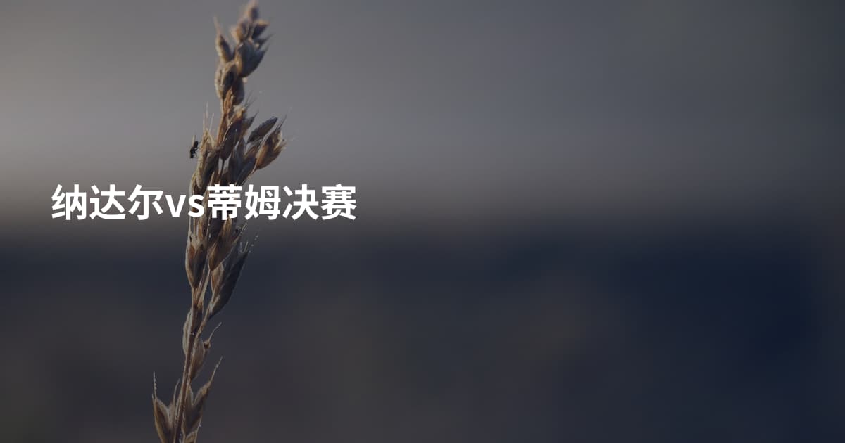纳达尔vs蒂姆决赛