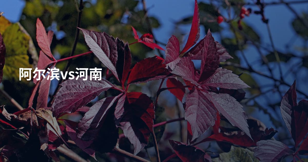 阿尔滨vs河南