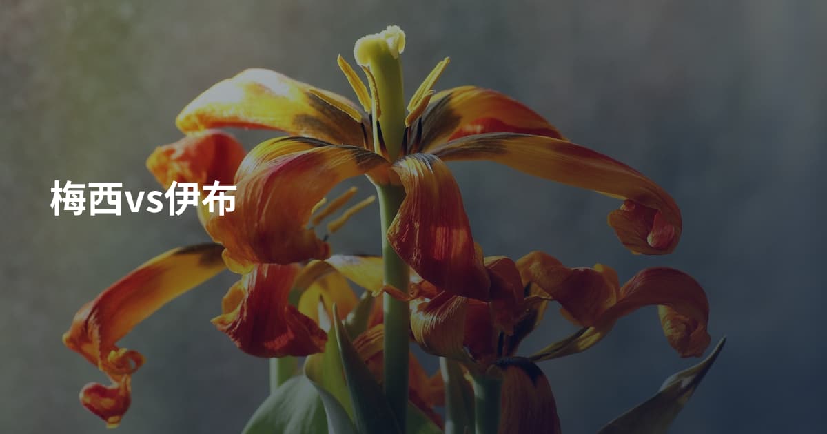 梅西vs伊布
