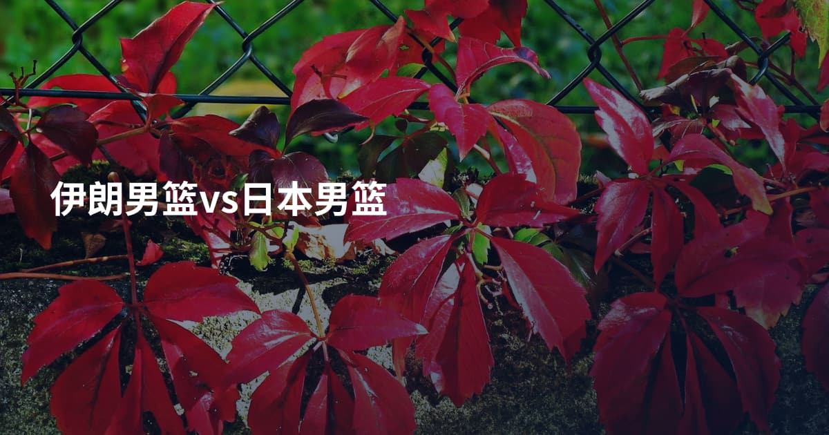 伊朗男篮vs日本男篮