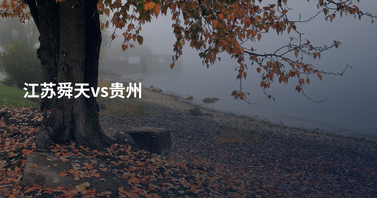 江苏舜天vs贵州