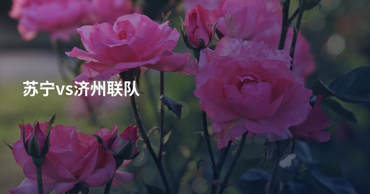 苏宁vs济州联队