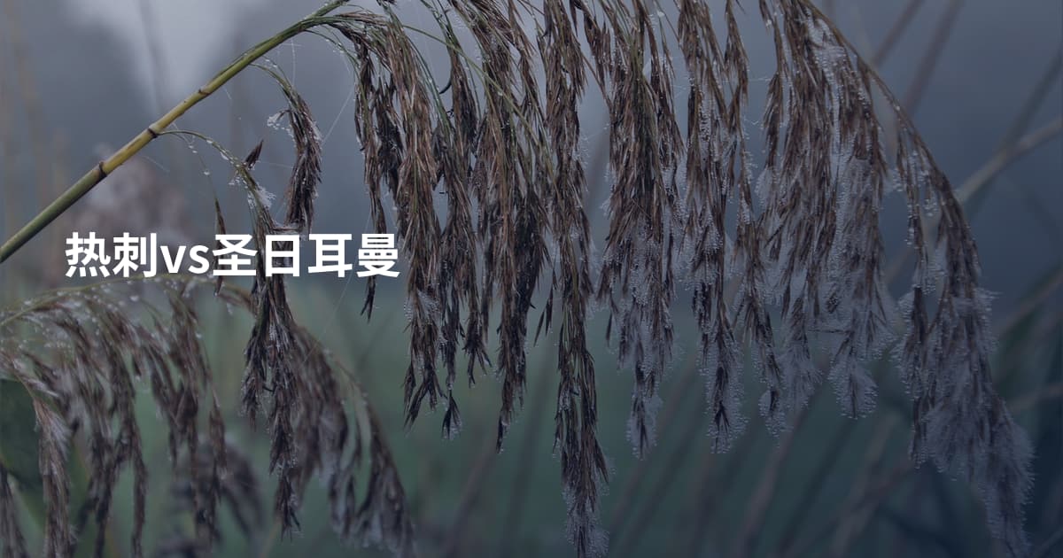 热刺vs圣日耳曼