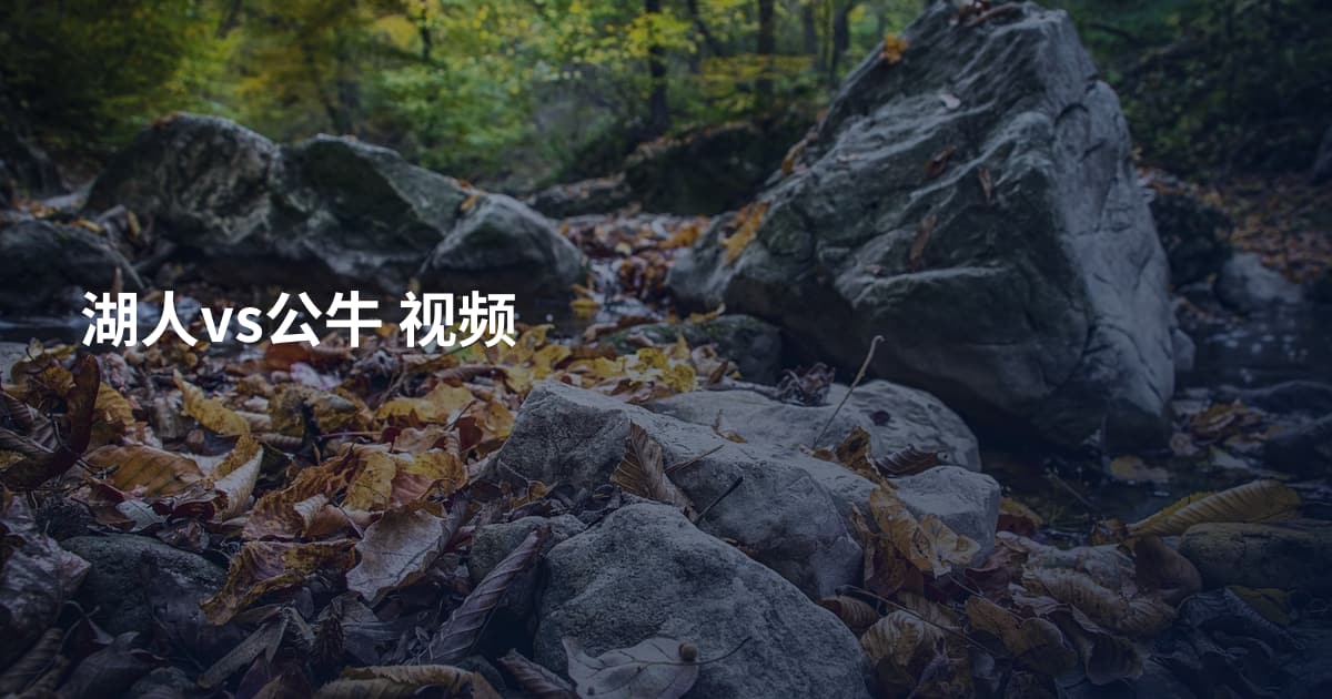 湖人vs公牛 视频