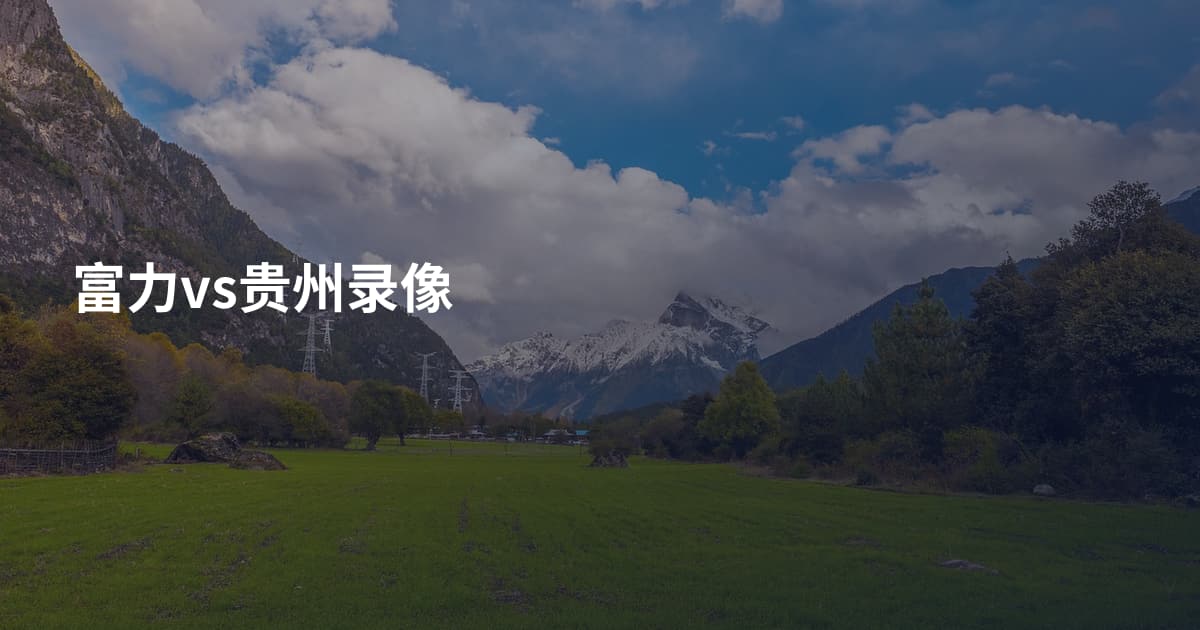 富力vs贵州录像