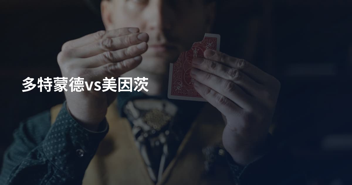 多特蒙德vs美因茨
