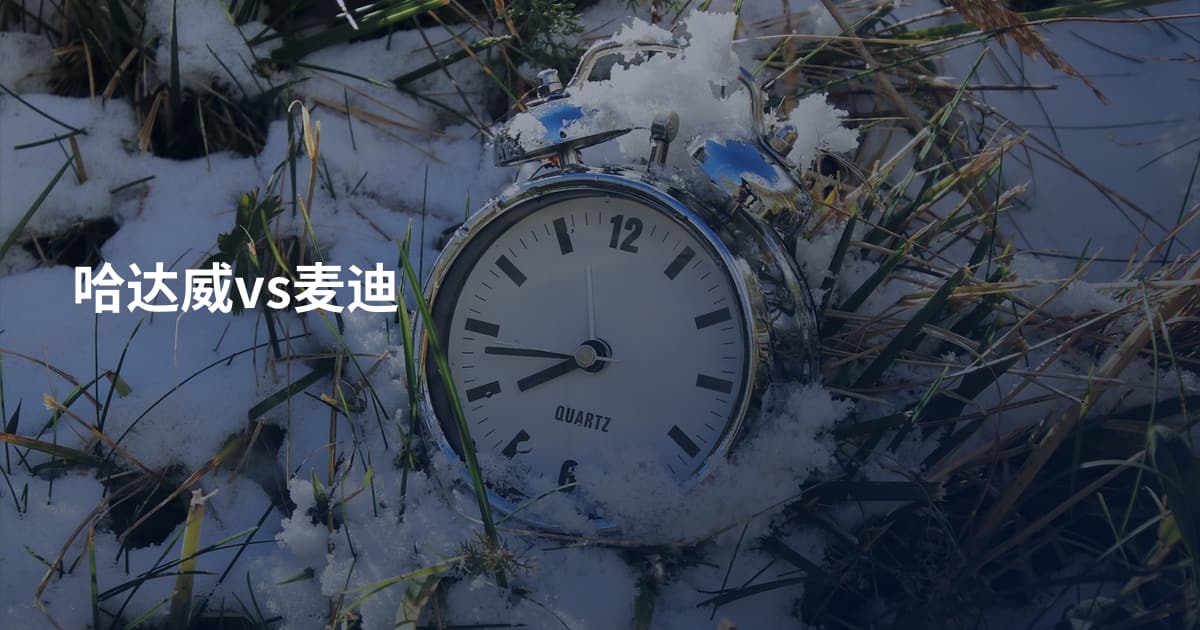 哈达威vs麦迪