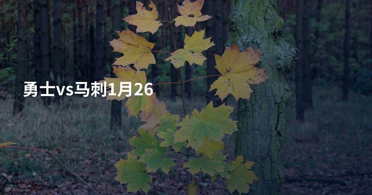 勇士vs马刺1月26