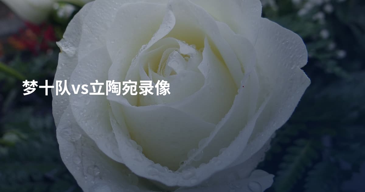 梦十队vs立陶宛录像
