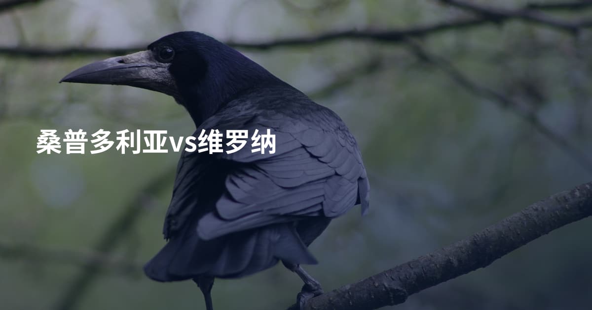 桑普多利亚vs维罗纳