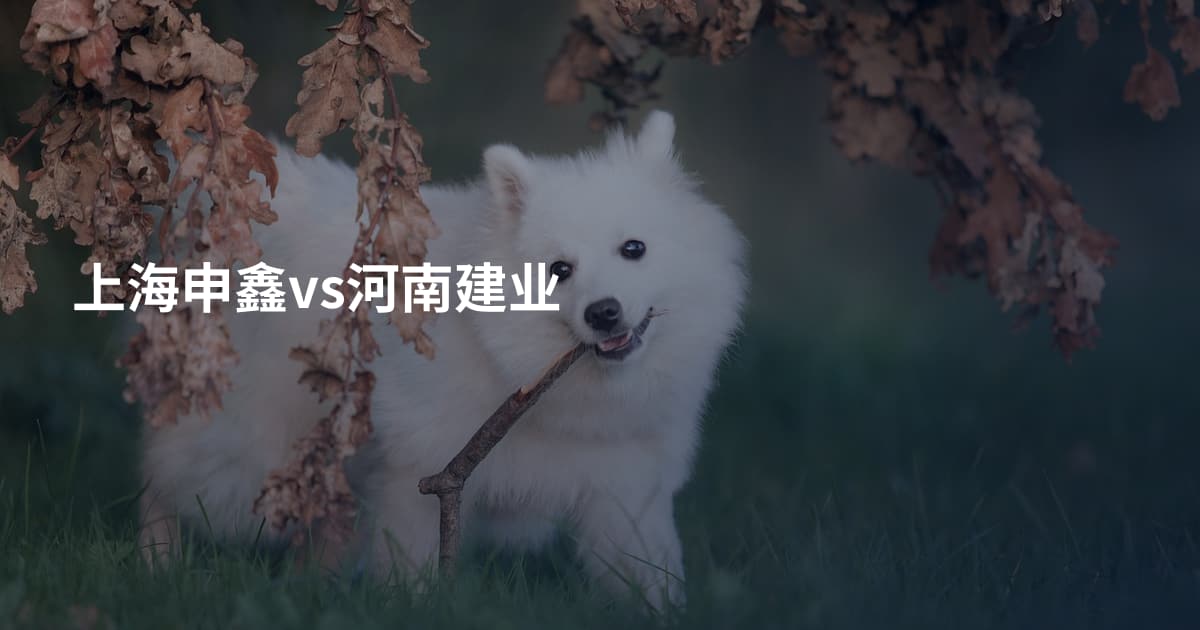 上海申鑫vs河南建业