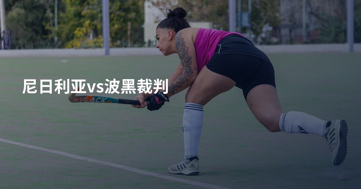 尼日利亚vs波黑裁判