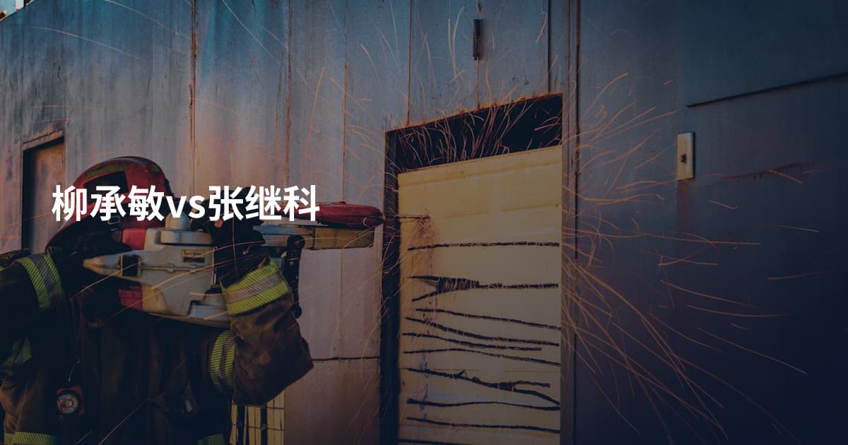 柳承敏vs张继科