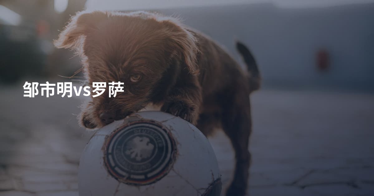 邹市明vs罗萨