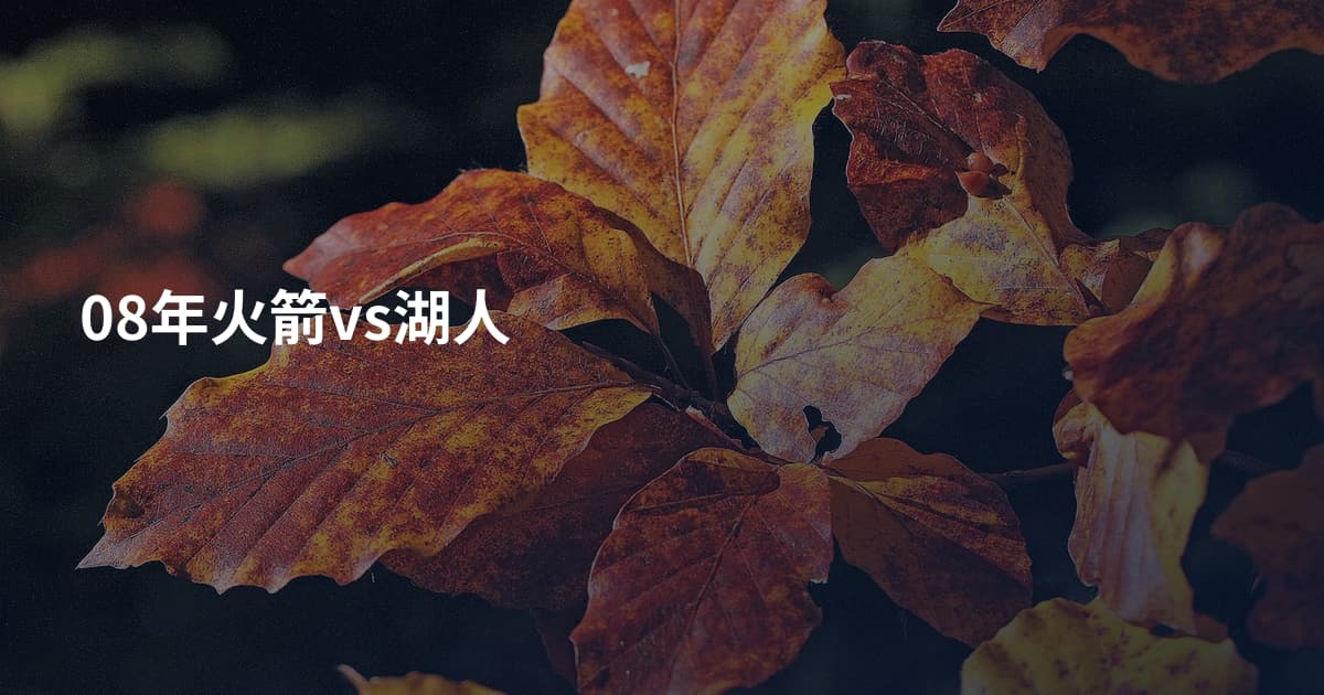 08年火箭vs湖人