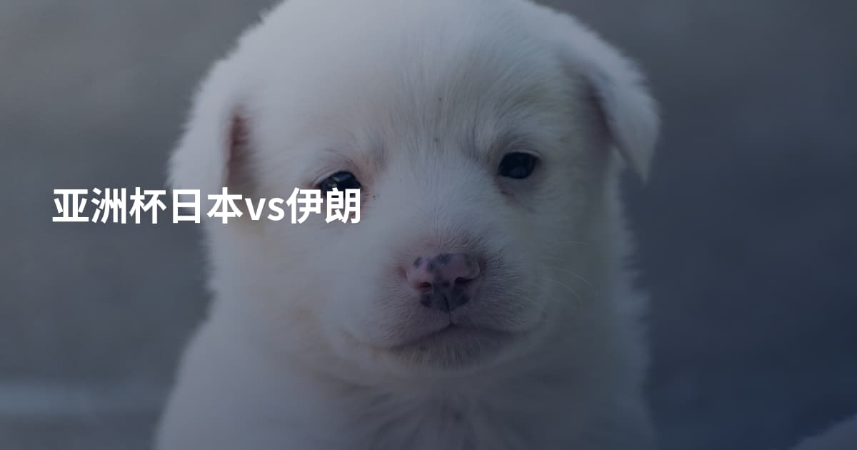 亚洲杯日本vs伊朗