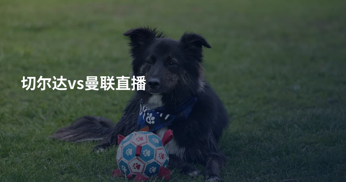 切尔达vs曼联直播