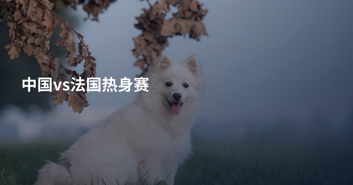 中国vs法国热身赛