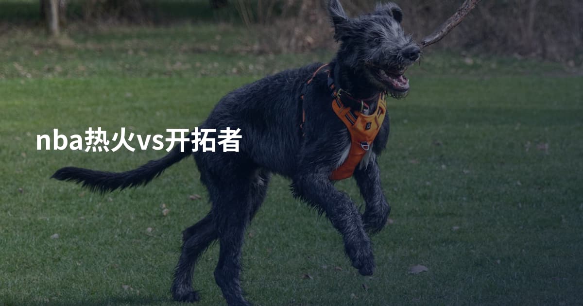 nba热火vs开拓者