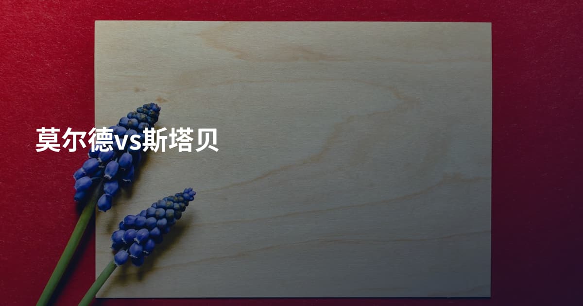莫尔德vs斯塔贝