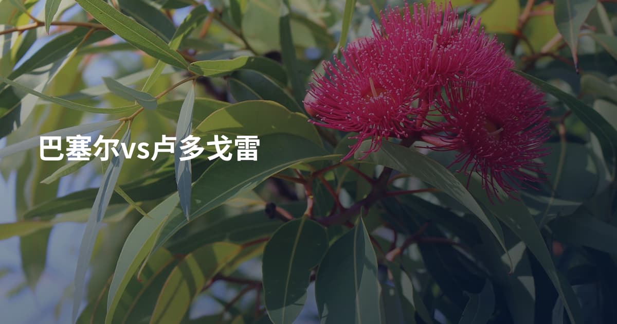 巴塞尔vs卢多戈雷