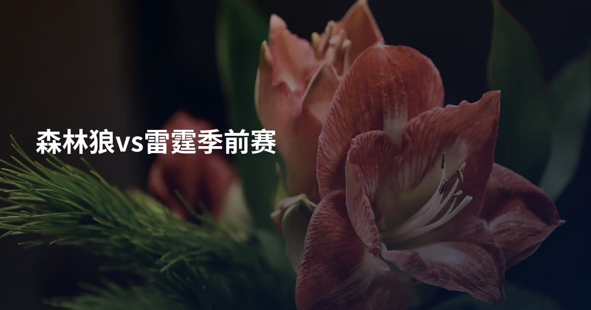 森林狼vs雷霆季前赛