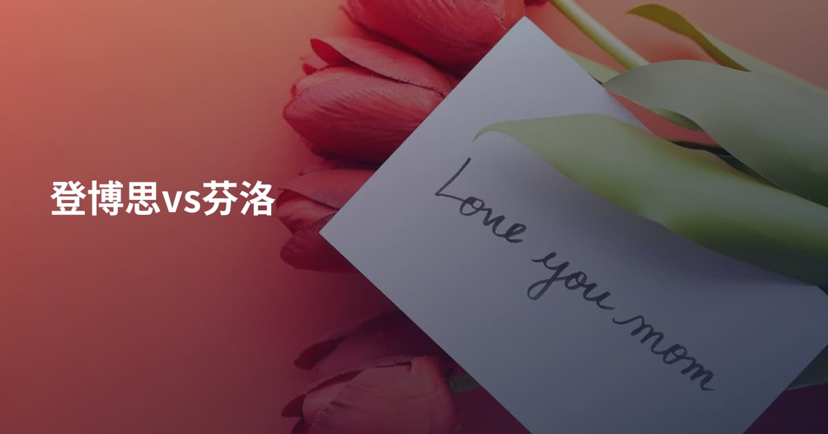 登博思vs芬洛