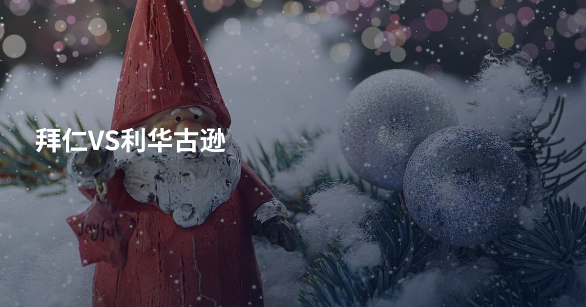 拜仁VS利华古逊