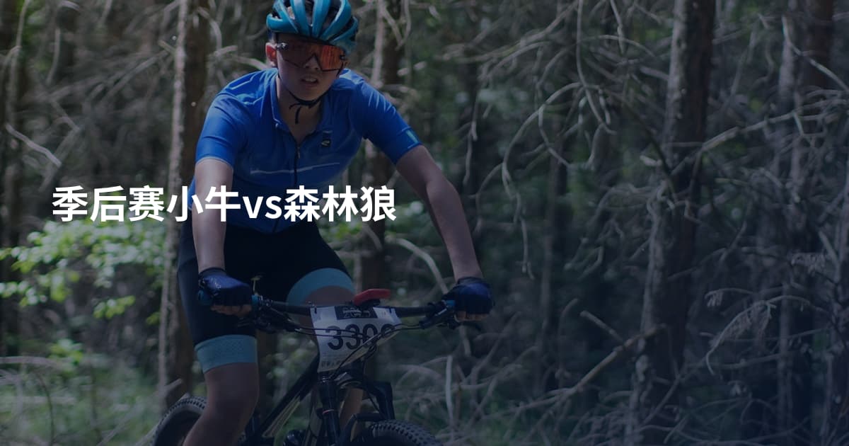 季后赛小牛vs森林狼