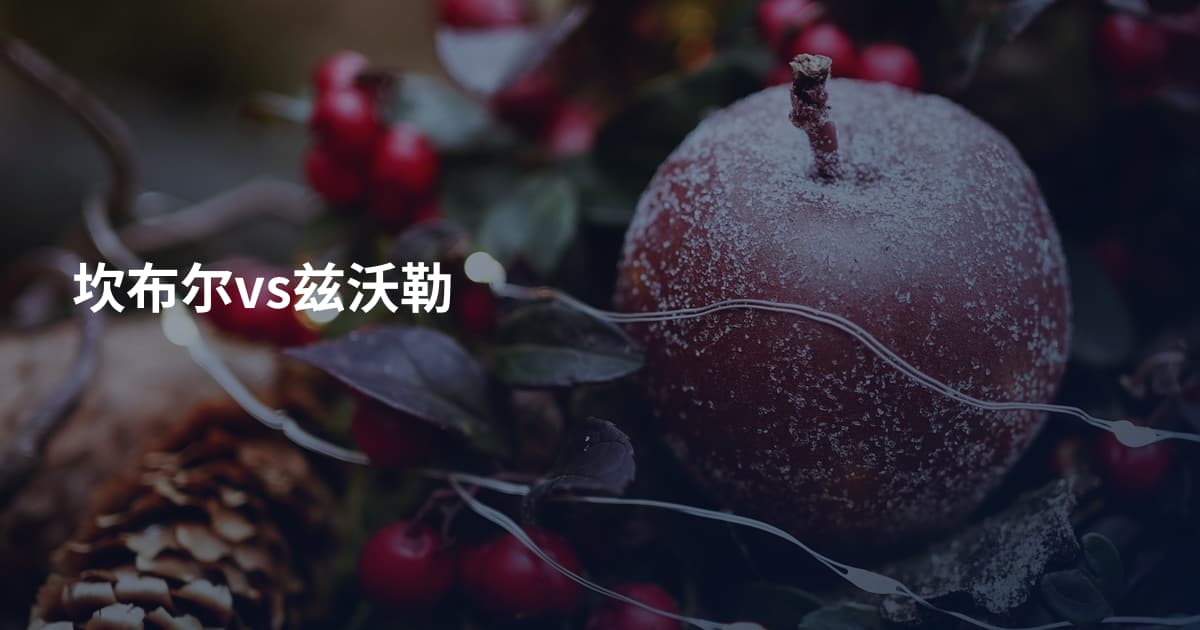 坎布尔vs兹沃勒