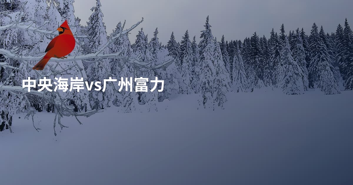中央海岸vs广州富力