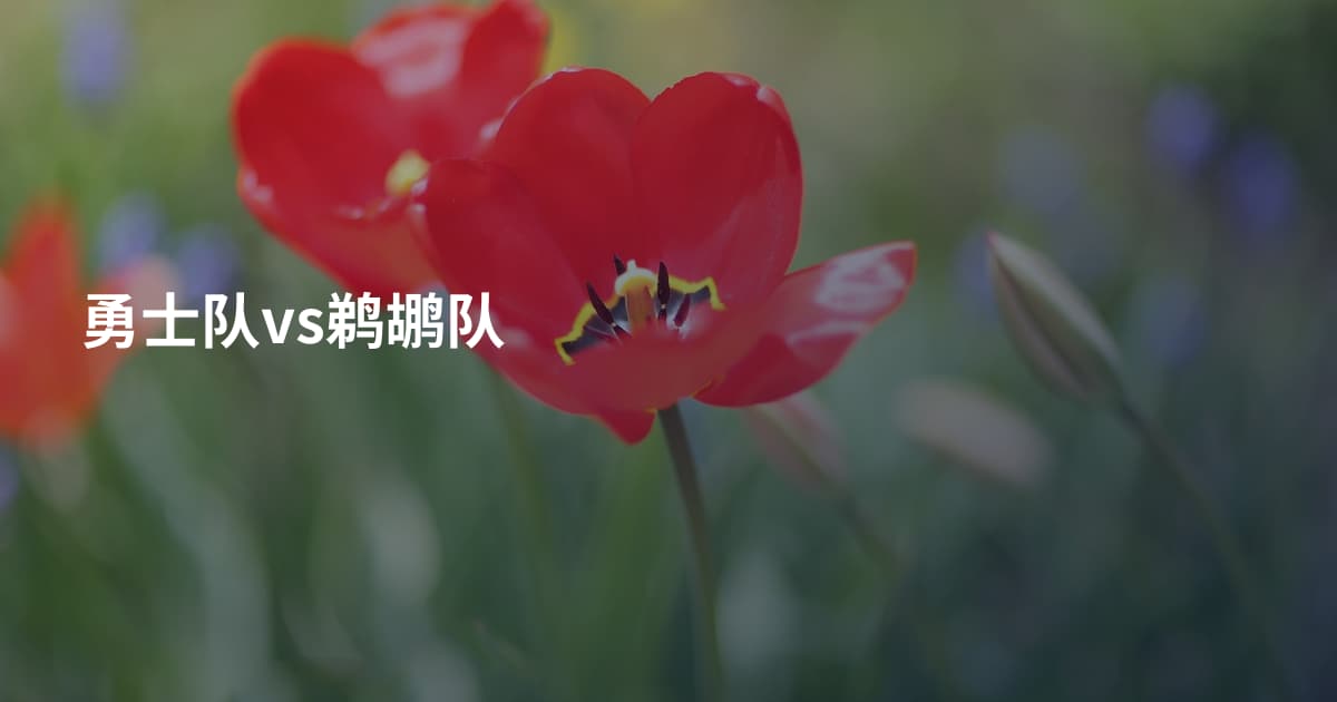 勇士队vs鹈鹕队