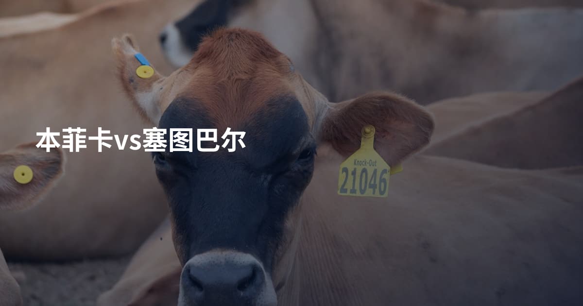 本菲卡vs塞图巴尔