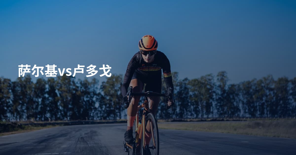 萨尔基vs卢多戈