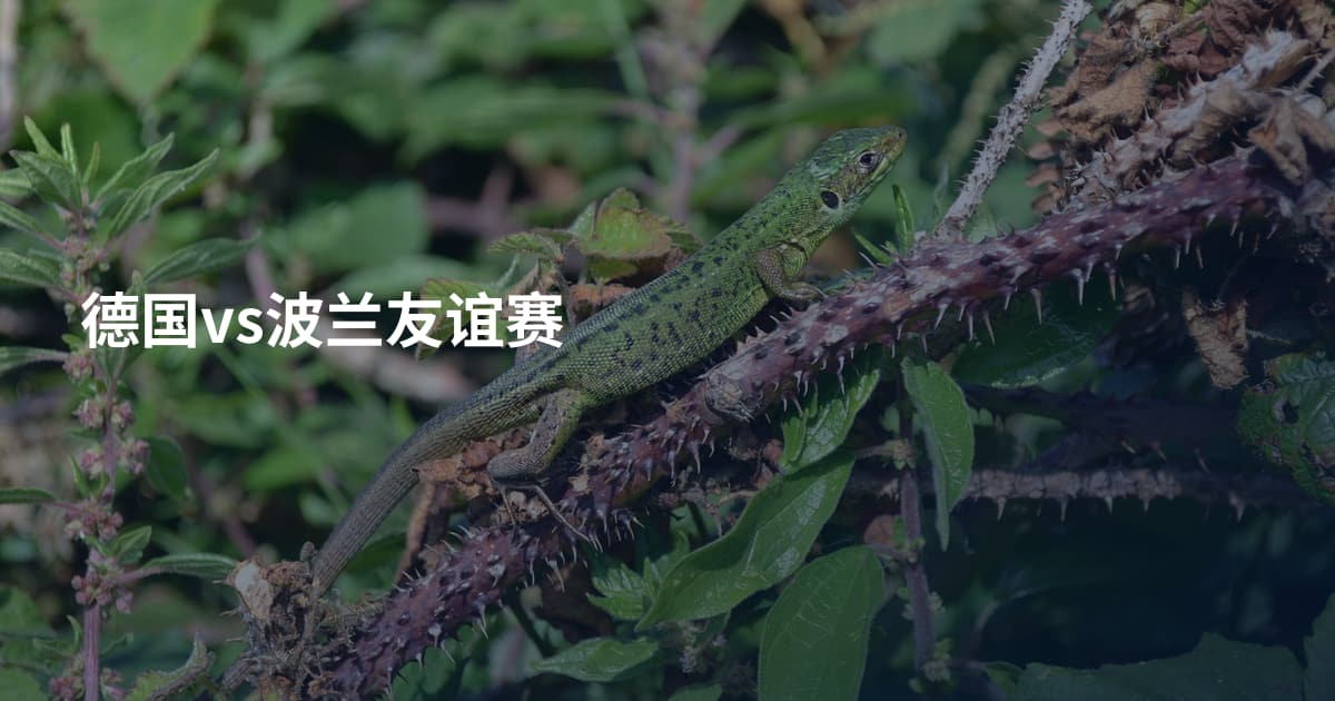 德国vs波兰友谊赛