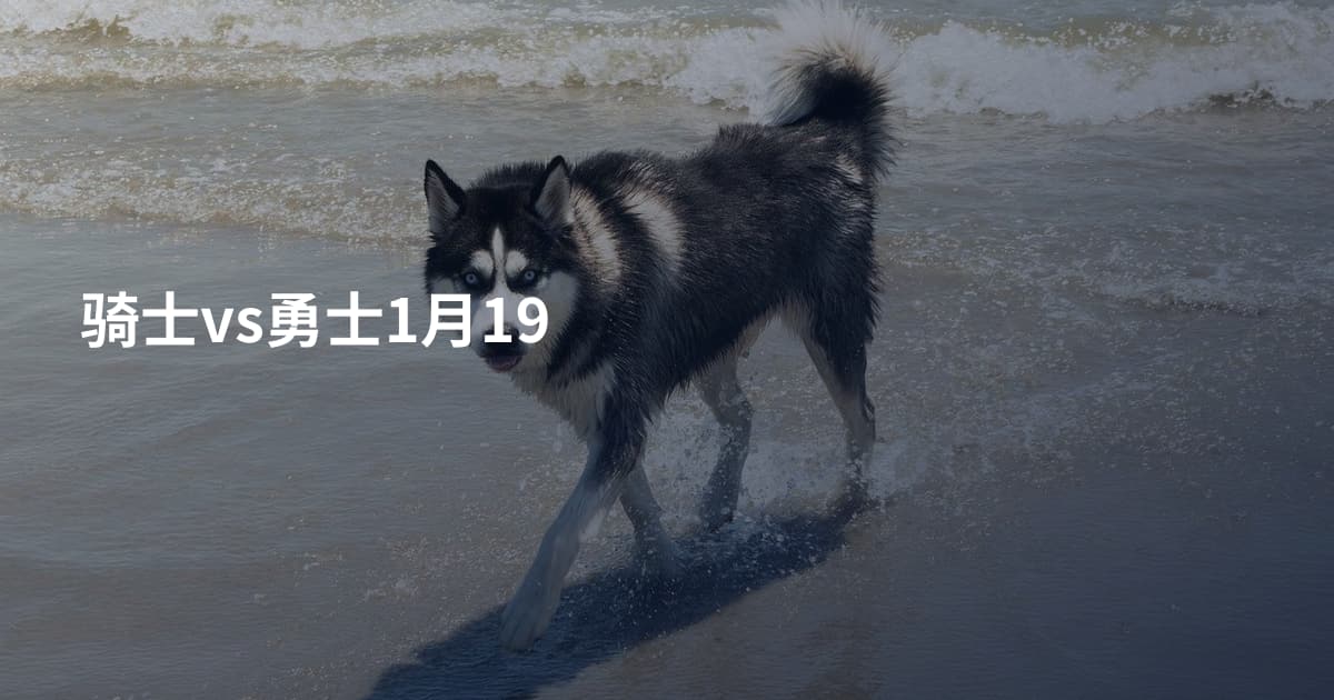 骑士vs勇士1月19